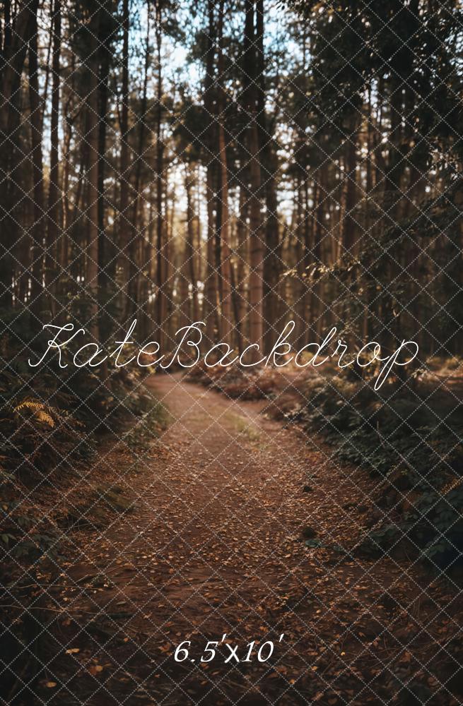Kate Forêt Chemin Brun Toile de fond conçue par Emetselch - Kate Backdrop FR