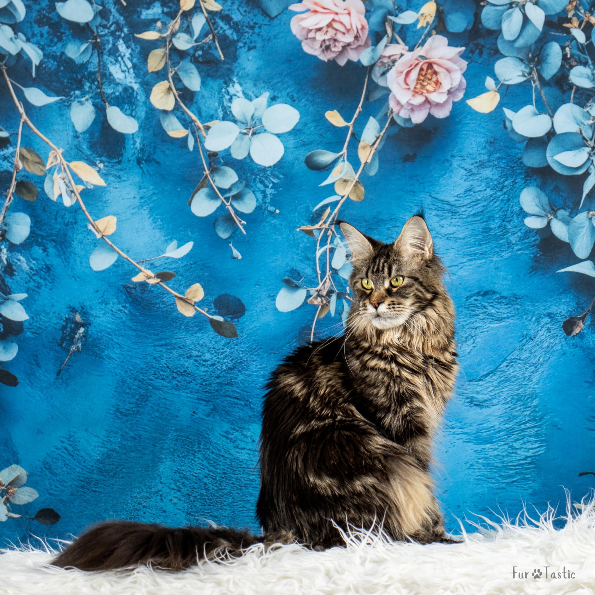 Kate Beaux-arts Fleurs Bleu Vintage Toile de fond conçue par Emetselch - Kate Backdrop FR