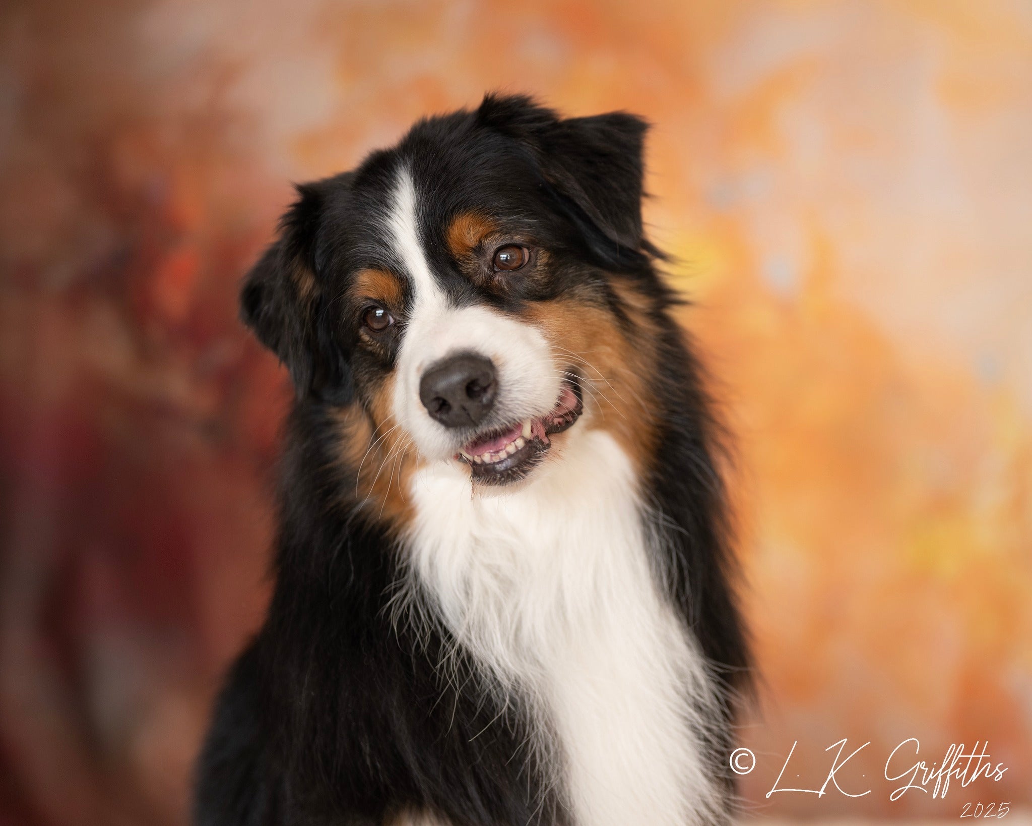 Kate Abstrait Doré Portrait Studio Toile de fond conçue par Emetselch - Kate Backdrop FR