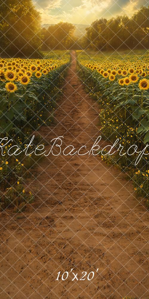 Kate Été Champ de Tournesols Chemin Toile de fond conçue par Emetselch - Kate Backdrop FR