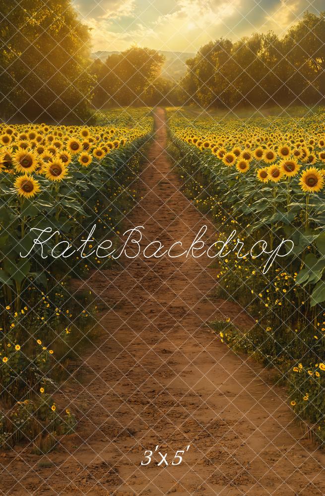 Kate Été Champ de Tournesols Chemin Toile de fond conçue par Emetselch - Kate Backdrop FR
