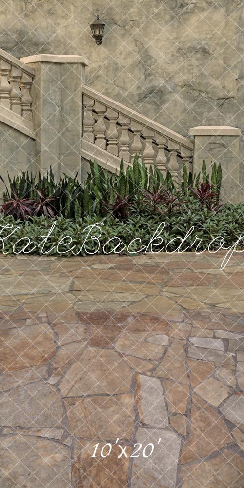 Kate Architecture Vintage Escaliers en Pierre Plantes Toile de fond conçue par Michele Ernst Photographie - Kate Backdrop FR