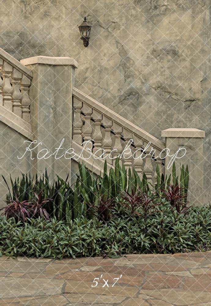 Kate Architecture Vintage Escaliers en Pierre Plantes Toile de fond conçue par Michele Ernst Photographie - Kate Backdrop FR