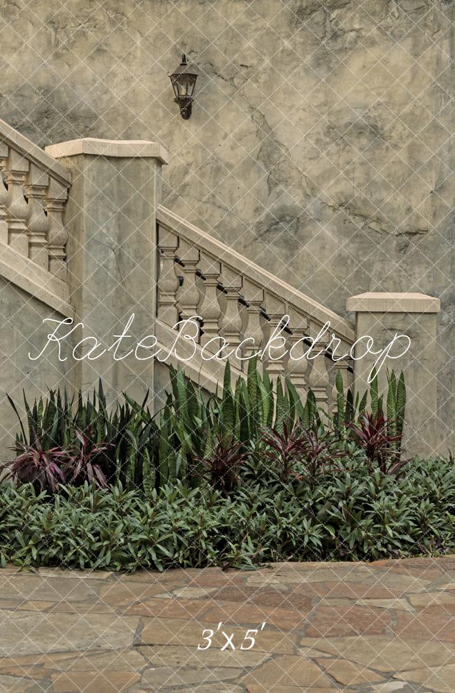 Kate Architecture Vintage Escaliers en Pierre Plantes Toile de fond conçue par Michele Ernst Photographie - Kate Backdrop FR