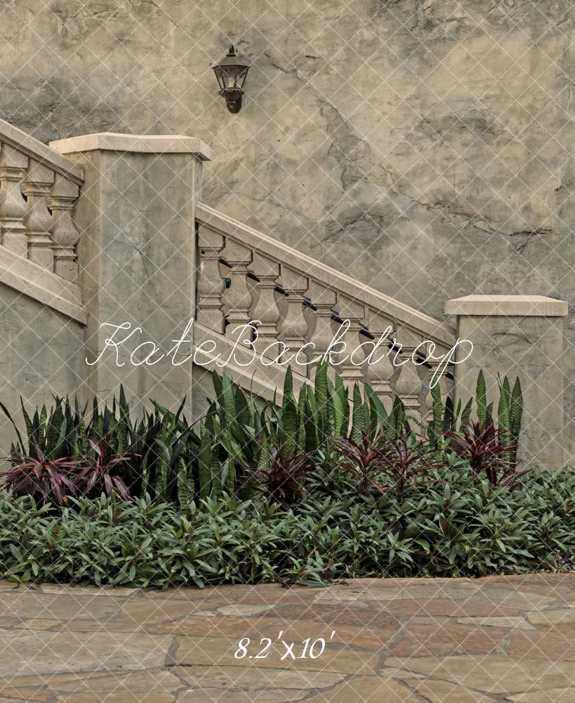 Kate Architecture Vintage Escaliers en Pierre Plantes Toile de fond conçue par Michele Ernst Photographie - Kate Backdrop FR