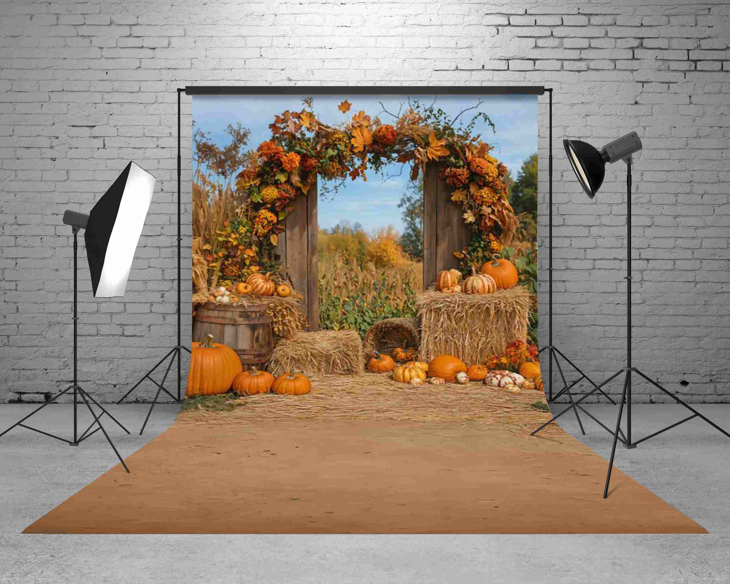 Kate Sweep Mur-à-Sol Automne Citrouille Récolte Arche Toile de fond conçue par Emetselch - Kate Backdrop FR