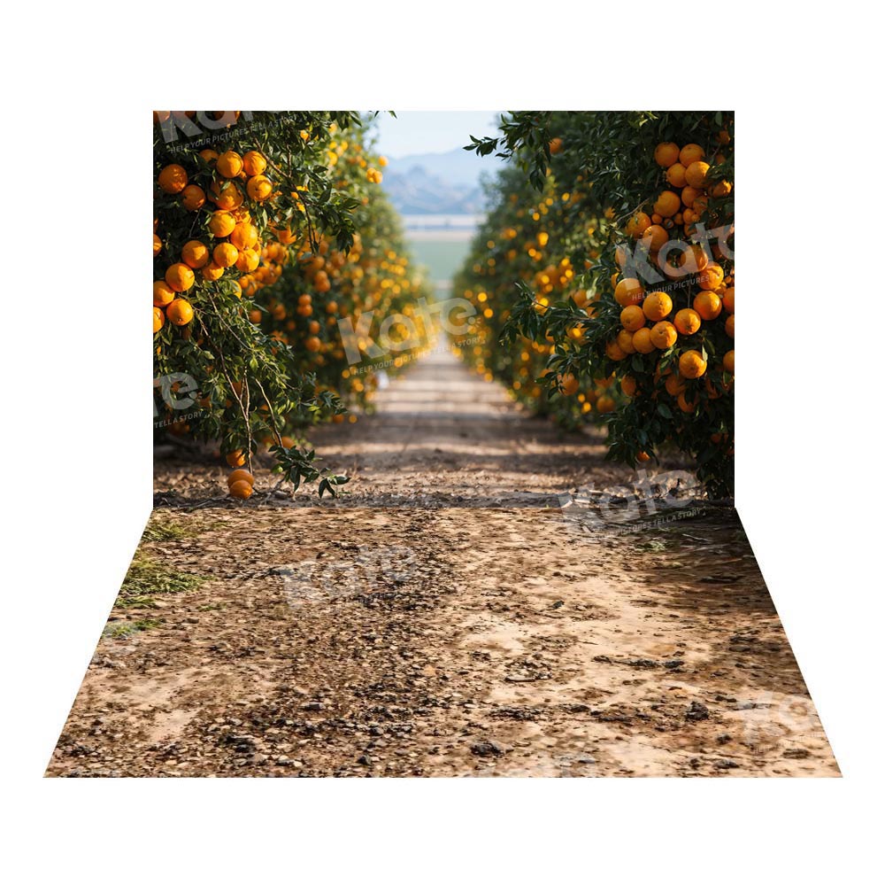 Kate Automne Chemin Verger d’orangers Toile de fond+Terre boueuse Chemin Sol Toile de fond