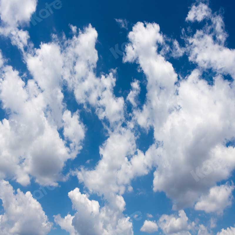 GROUPE VIP - Kate Ciel bleu Nuages blancs Paysage Toile de fond conçue par Chain Photographie - Kate Backdrop FR