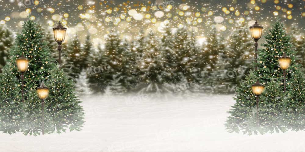 Kate Hiver Noël Neige Forêt Lumières Toile de fond pour la photographie