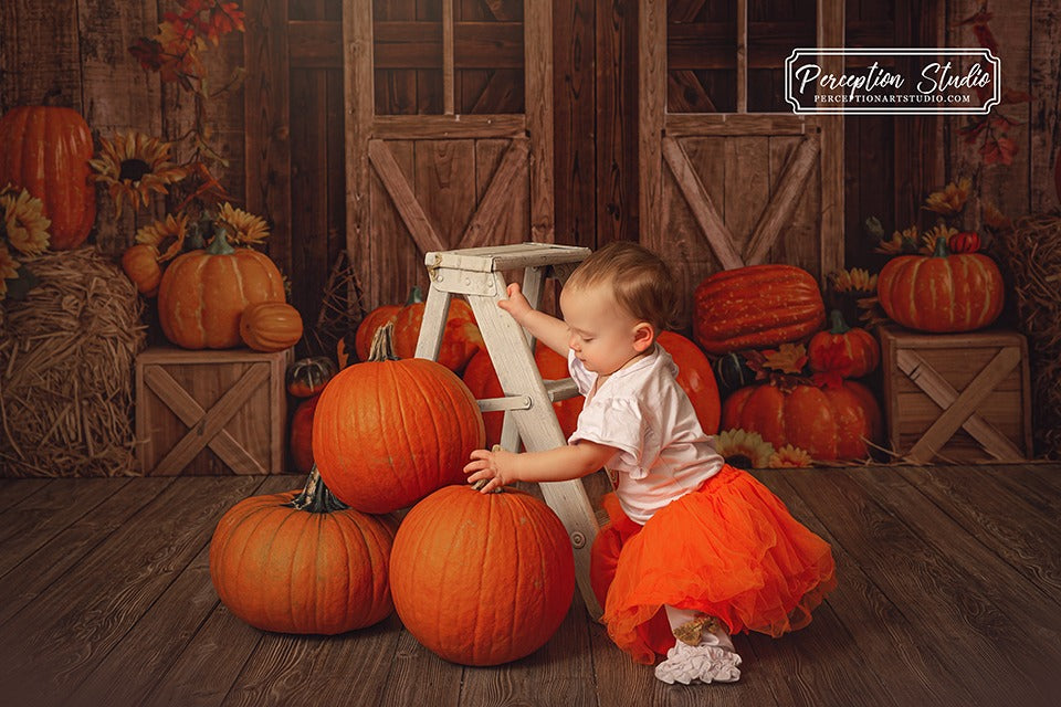 Kate Porte de grange Citrouille Automne Toile de fond conçue par Emetselch - Kate Backdrop FR