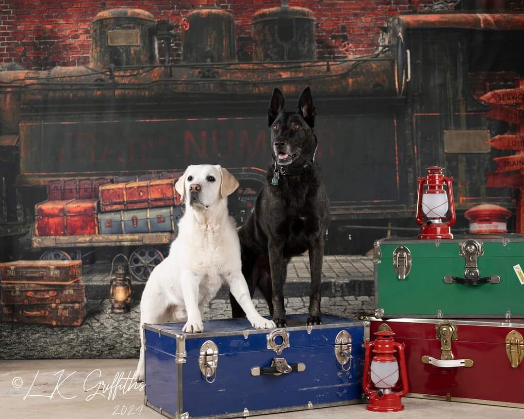 Kate Train Gare Rétro Valises Toile de fond pour la photographie - Kate Backdrop FR