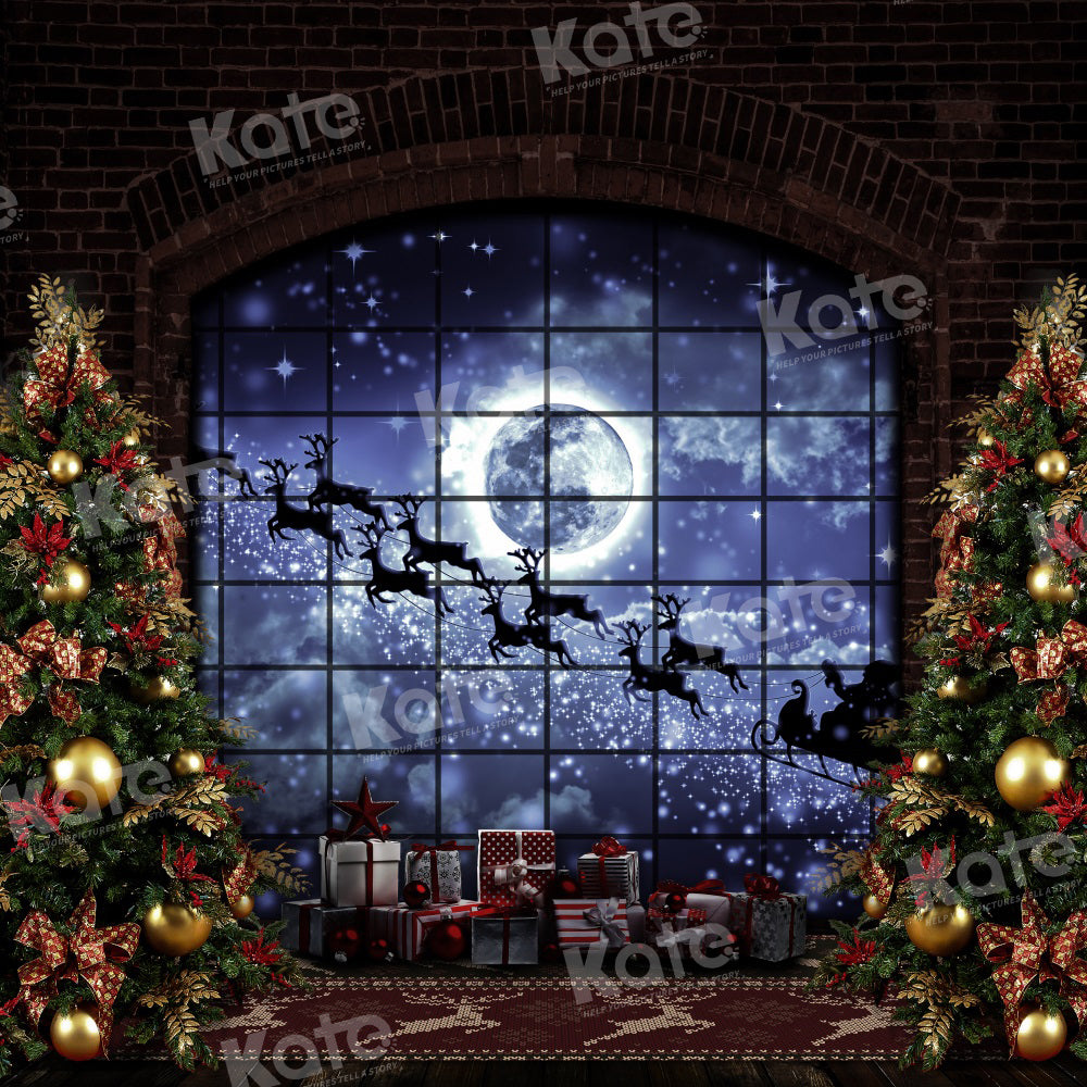 Kate Wapiti Noël Fenêtre Lune Toile de fond pour la photographie - Kate Backdrop FR