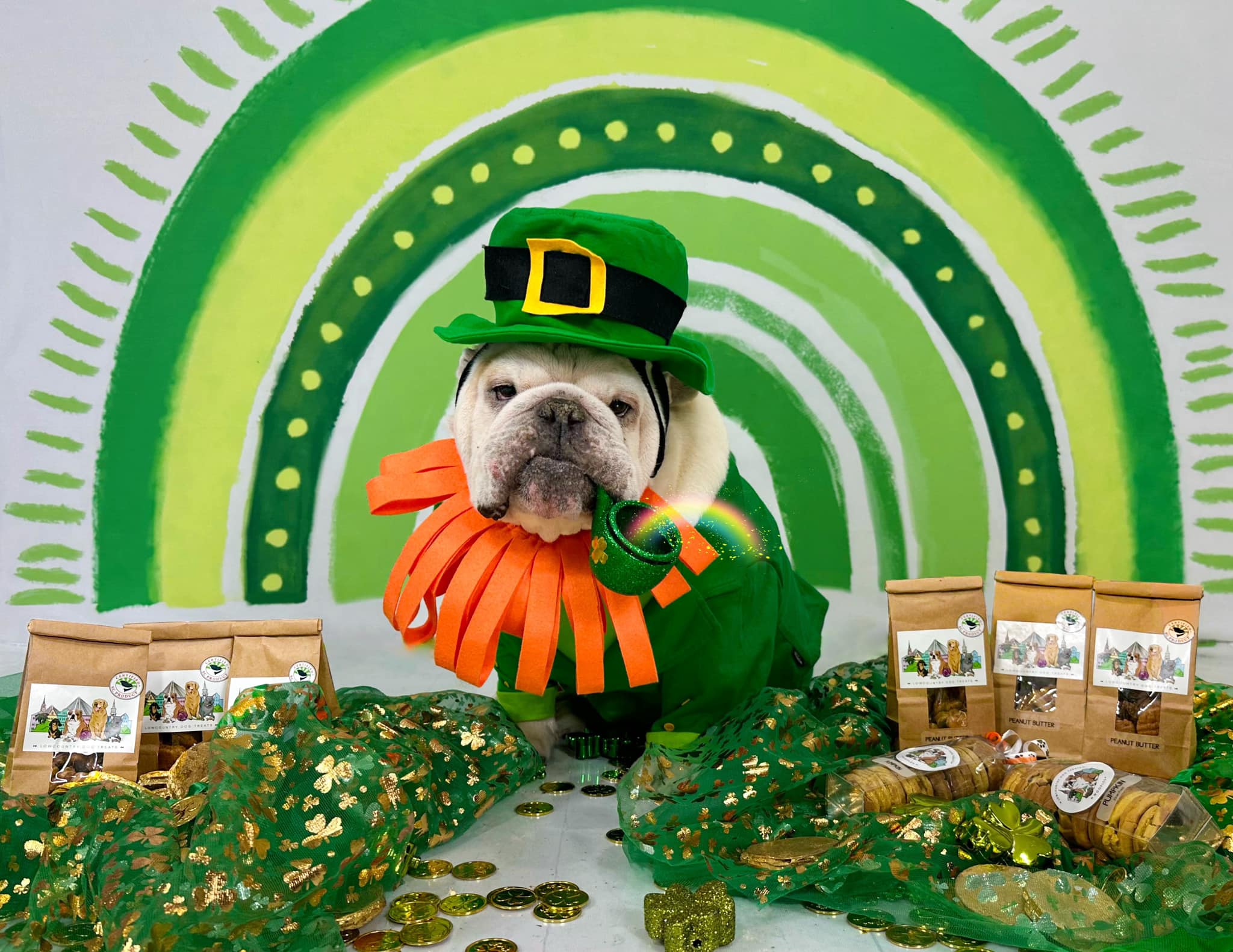 Kate St.Patrick's Day Toile de fond Rainbow Green Lucky Clover Conçu par GQ - Kate Backdrop FR