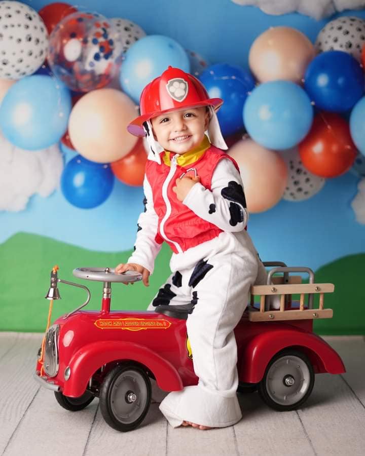 Kate Anniversaire Chien Bleu Toile de fond conçue par Mandy Ringe - Kate Backdrop FR