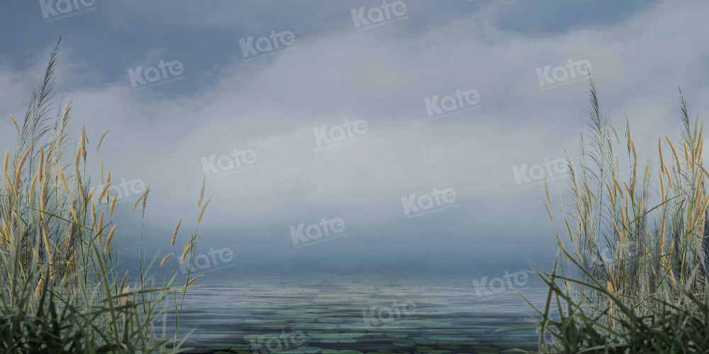 Kate Été Roseau Nuage Ciel Lac Toile de fond pour la photographie - Kate Backdrop FR