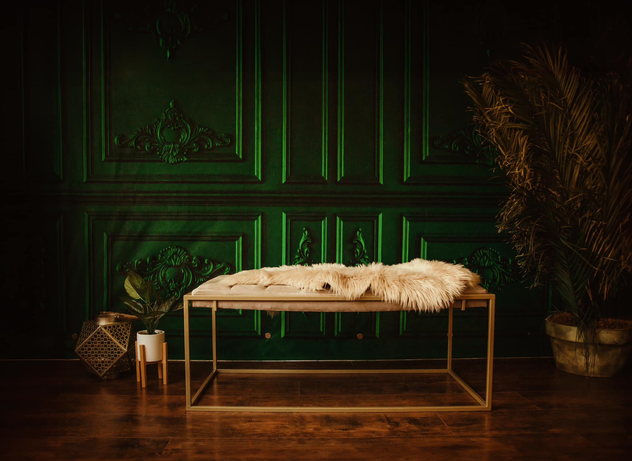 Kate Rétro Vintage Vert foncé Mur Toile de fond pour la photographie - Kate Backdrop FR