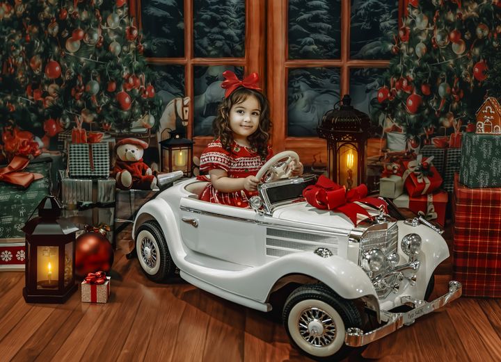Kate Arbres Fenêtre Noël Toile de fond pour la photographie - Kate Backdrop FR