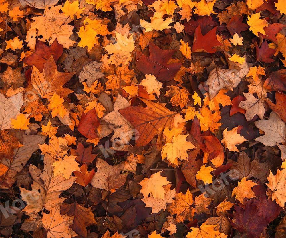 Kate Automne Feuille d'érable Rétro Sol Toile de fond conçue par Chain Photographie - Kate Backdrop FR