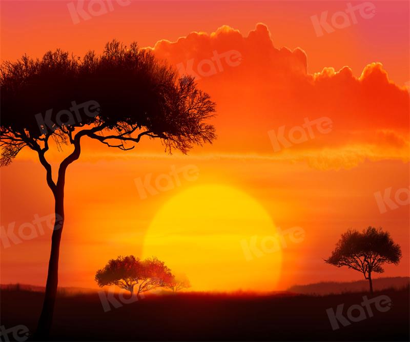 Kate Naturel Coucher de soleil Arbre Toile de fond pour la photographie - Kate Backdrop FR