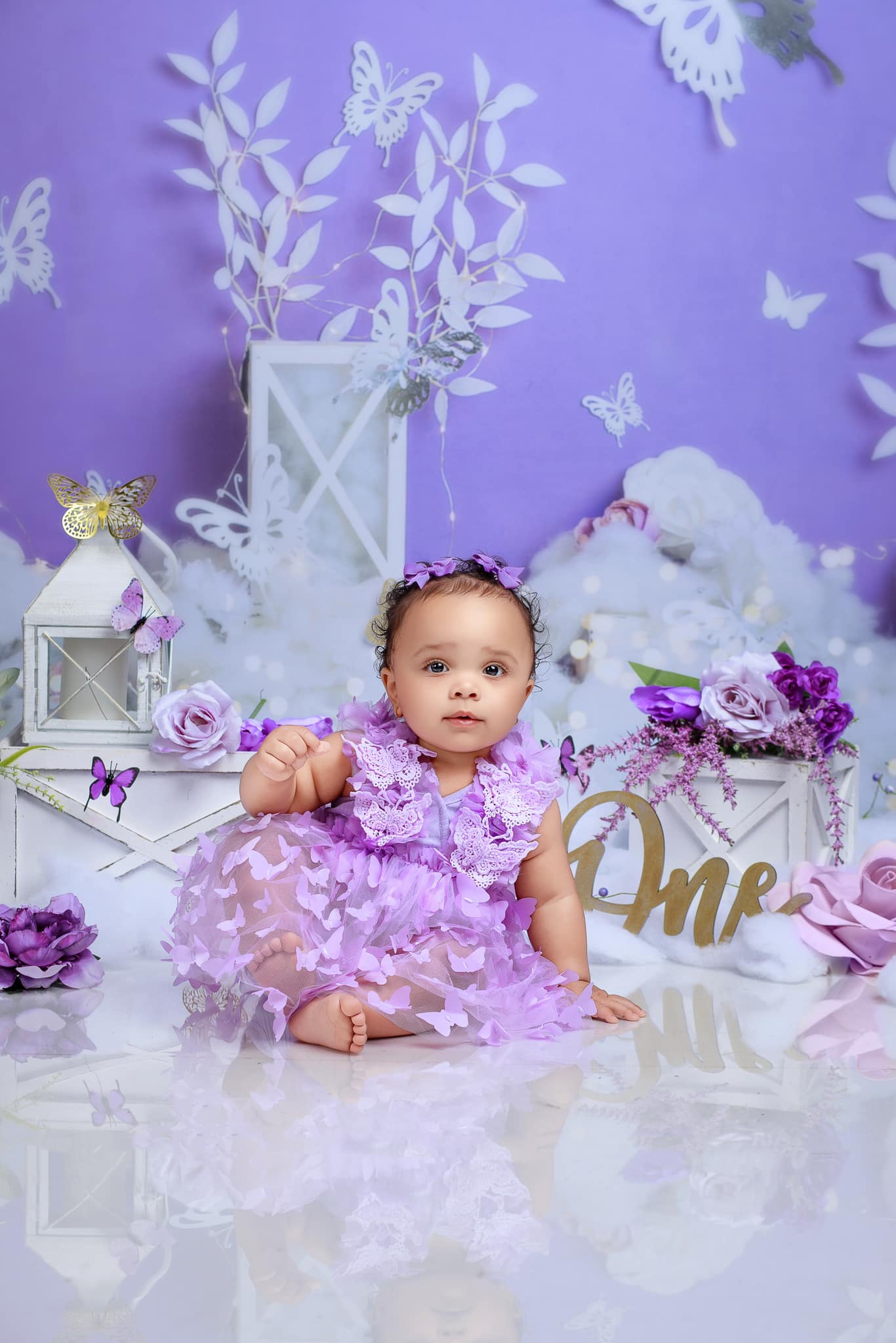 Kate Violet Papillon glacé Toile de fond conçue par Megan Leigh - Kate Backdrop FR