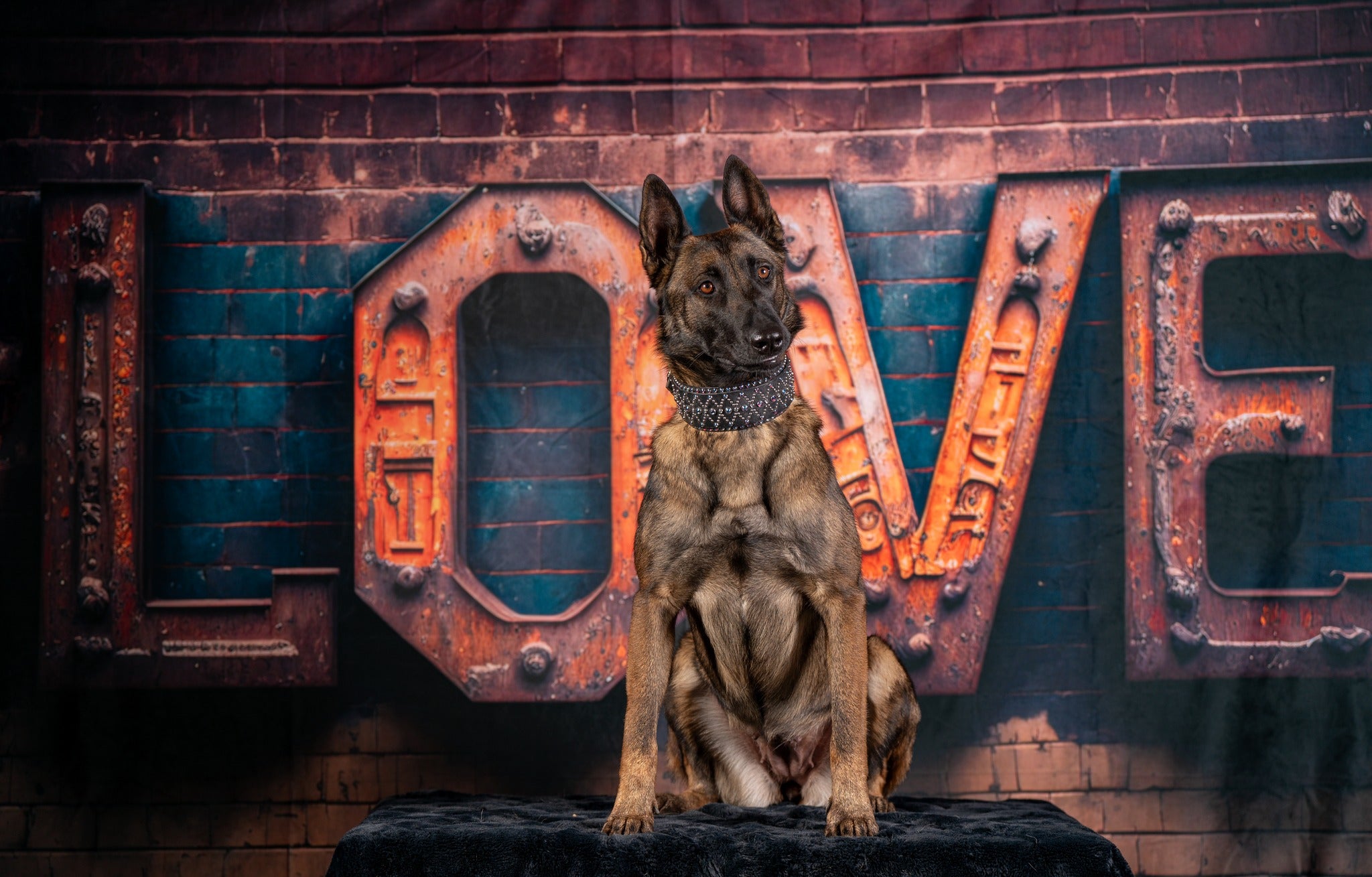 Kate Saint-Valentin Industriel LOVE Mur de briques Toile de fond conçue par Mini MakeBelieve - Kate Backdrop FR