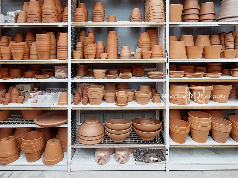 Kate Pot de fleur Étagères Toile de fond conçue par Mandy Ringe - Kate Backdrop FR