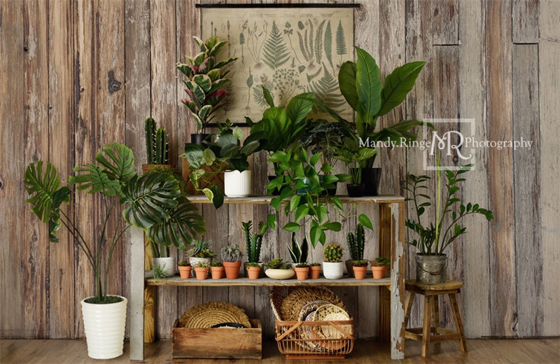 Kate Été Rustique Boutique de plantes Toile de fond conçue par Mandy Ringe - Kate Backdrop FR