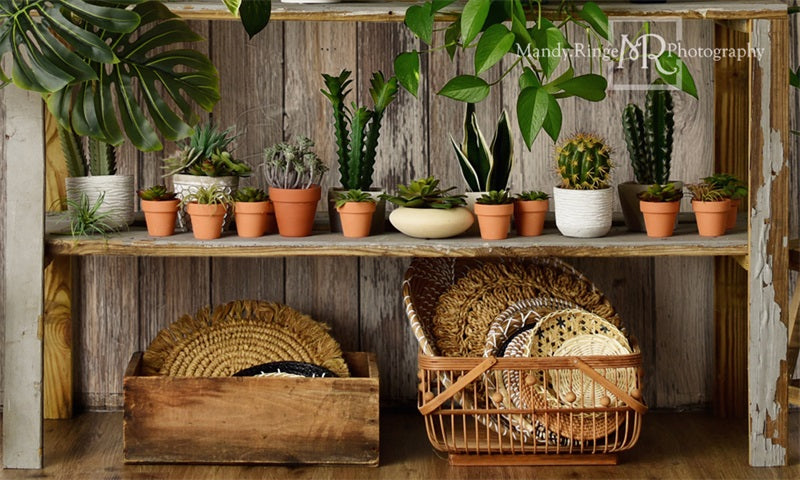 Kate Été Rustique Boutique de plantes Toile de fond conçue par Mandy Ringe - Kate Backdrop FR