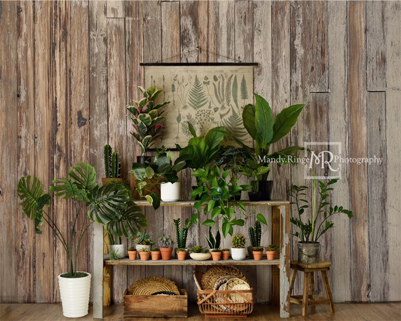 Kate Été Rustique Boutique de plantes Toile de fond conçue par Mandy Ringe - Kate Backdrop FR
