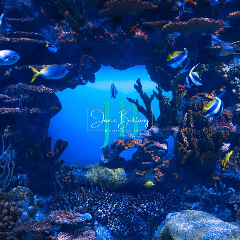 Kate Été Sous la mer Bleu Toile de fond conçue par JB Photographie - Kate Backdrop FR