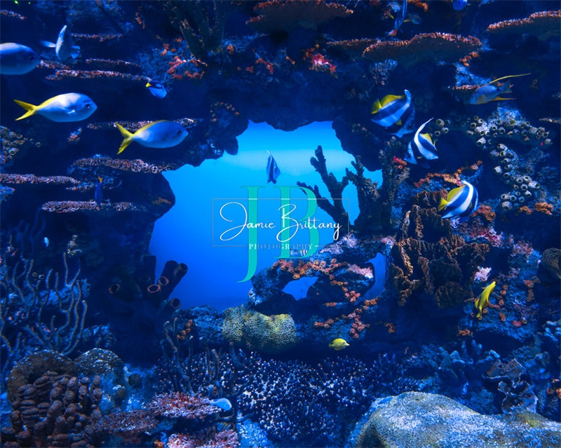 Kate Été Sous la mer Bleu Toile de fond conçue par JB Photographie - Kate Backdrop FR
