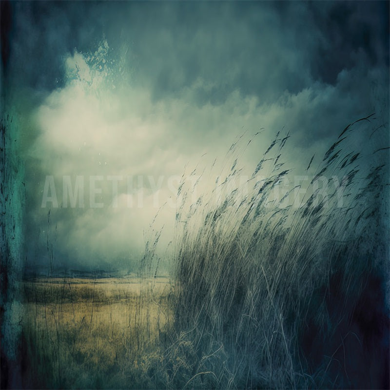 Kate Lunatique Beaux-Arts Champ Ciel Toile de fond conçu par Angela Marie Photographie - Kate Backdrop FR