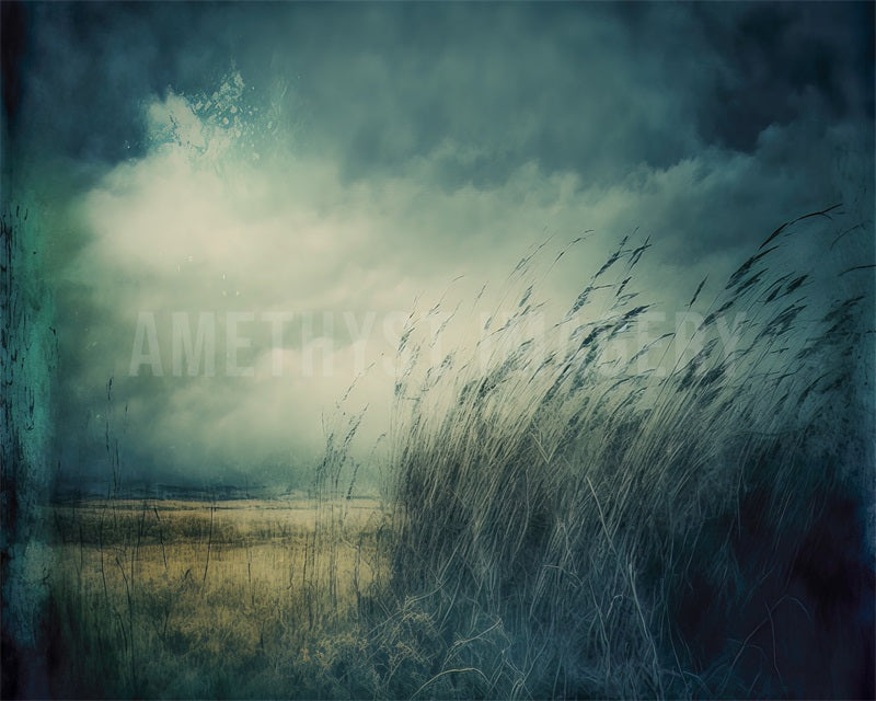 Kate Lunatique Beaux-Arts Champ Ciel Toile de fond conçu par Angela Marie Photographie - Kate Backdrop FR