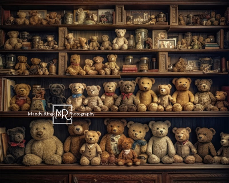 Kate Ours en peluche Étagères Toile de fond conçue par Mandy Ringe - Kate Backdrop FR