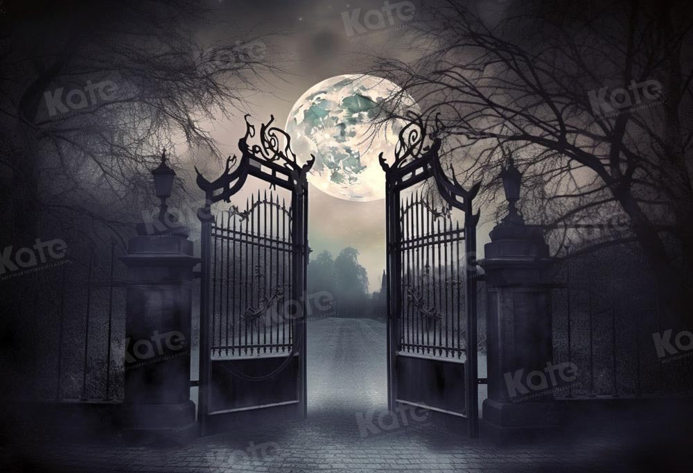 Kate Halloween Manoir Nuit Lune Toile de fond Conçu par Chain Photographie - Kate Backdrop FR