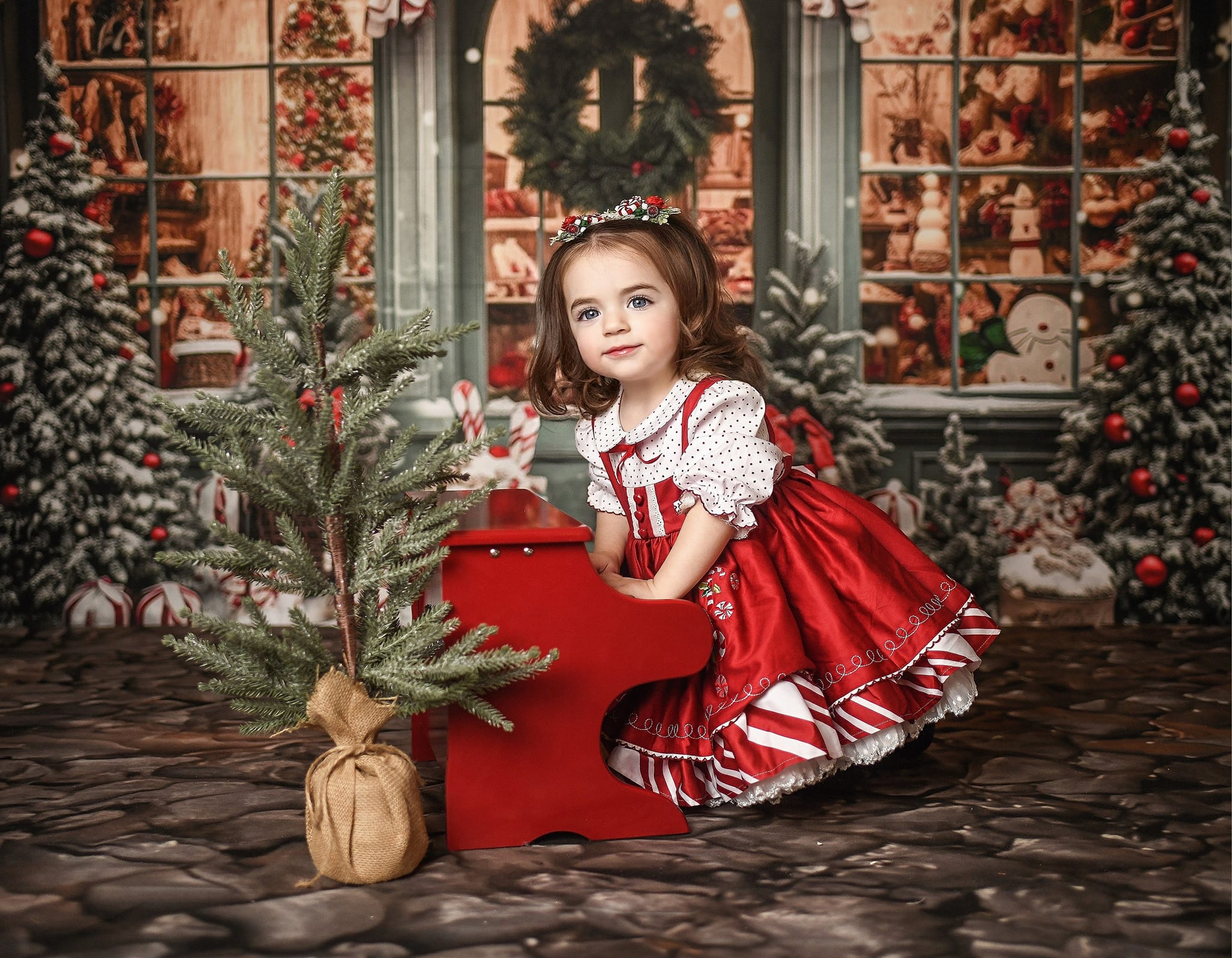 Kate Sapin de Noël Boutique Neige Toile de fond pour la photographie - Kate Backdrop FR