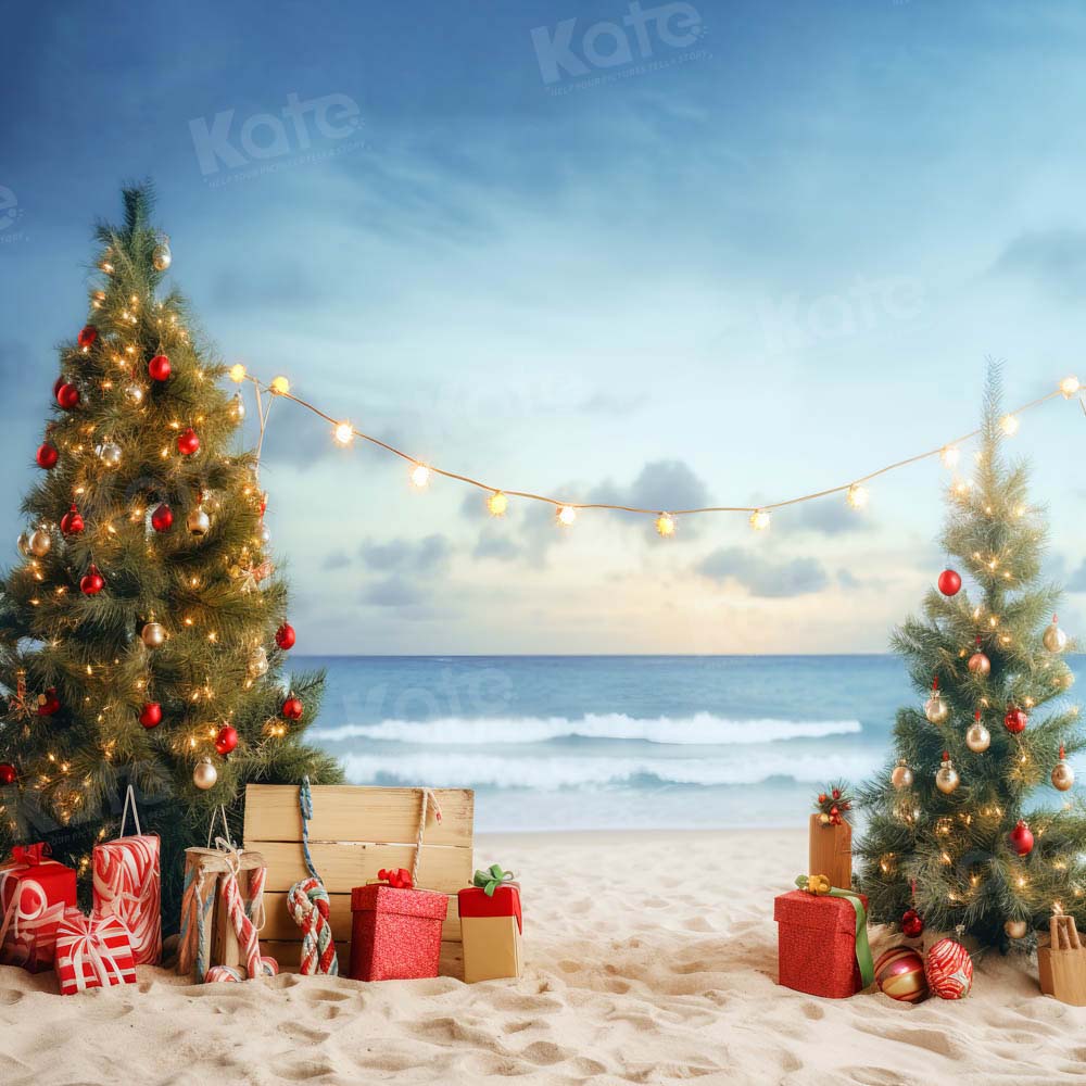 Kate Noël Plage Mer Cadeaux Toile de fond Conçu par Chain Photographie - Kate Backdrop FR