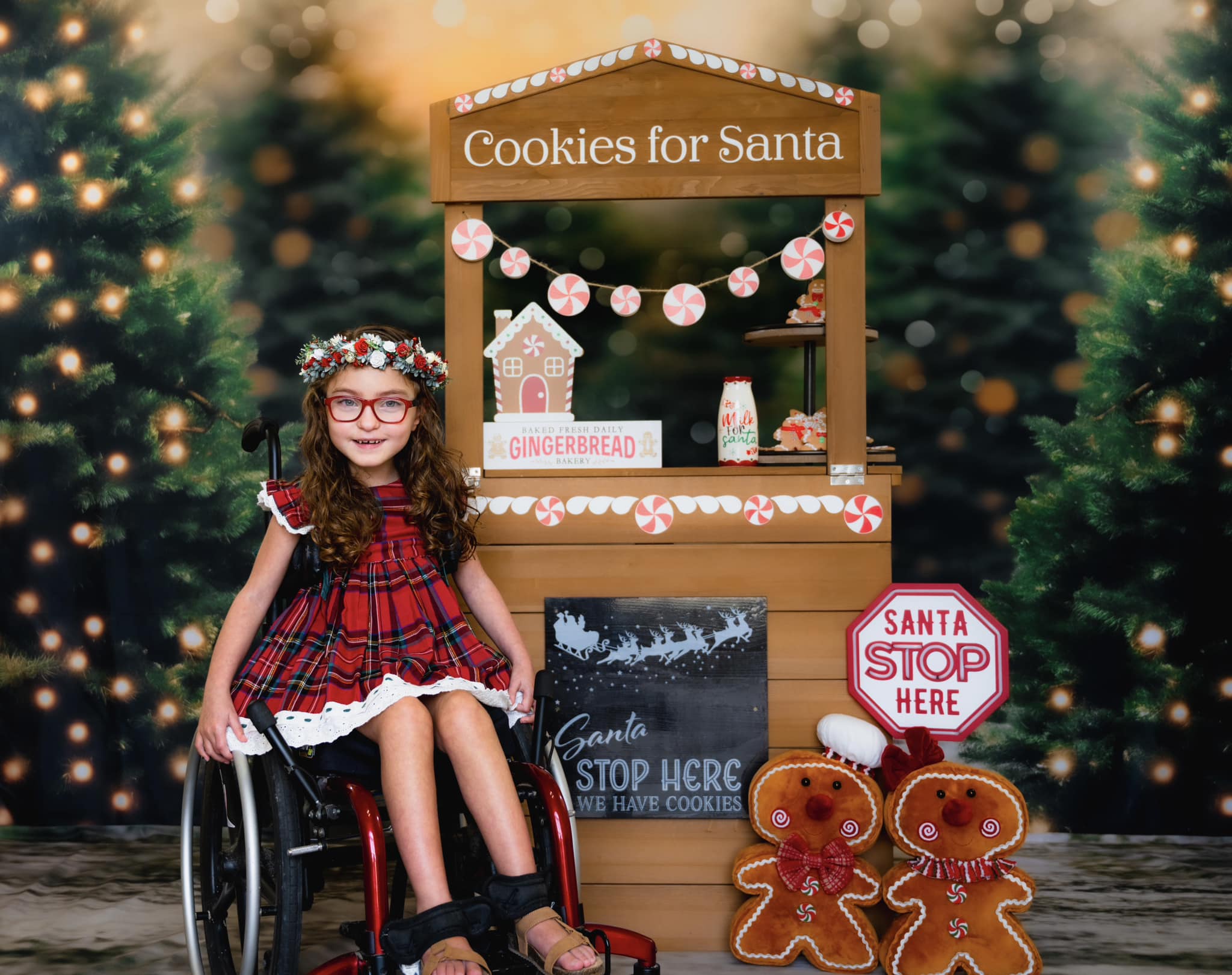 Kate Noël Ferme des arbres Toile de fond+Hiver Sol Terroir Toile de fond - Kate Backdrop FR