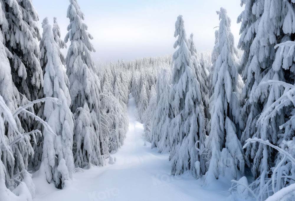 Kate Hiver Arbres Neige Blanc Toile de fond Conçu par Chain Photographie - Kate Backdrop FR