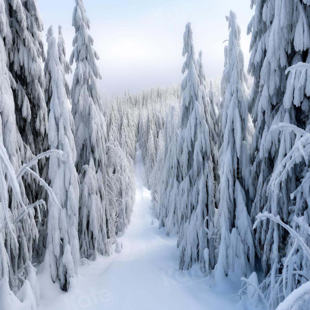Kate Hiver Arbres Neige Blanc Toile de fond Conçu par Chain Photographie - Kate Backdrop FR