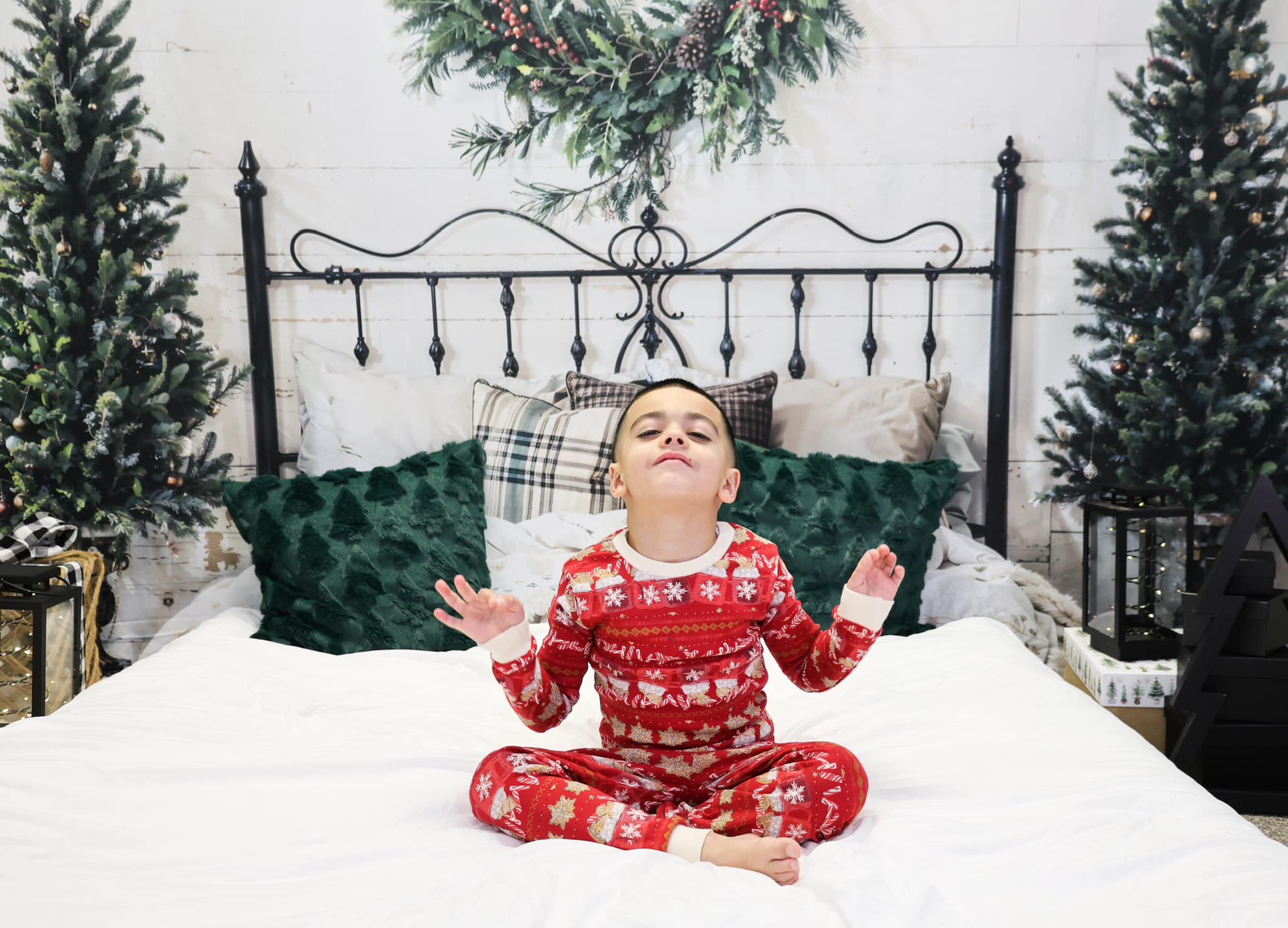 Kate Noël Tête de lit Boudoir Toile de fond conçu par Emetselch - Kate Backdrop FR