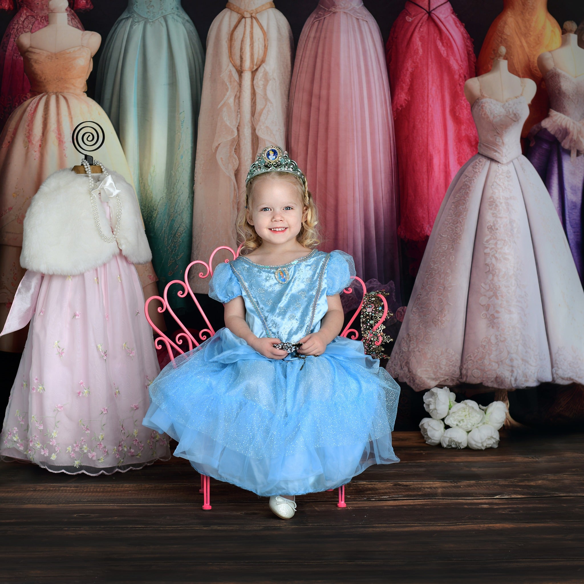 Kate Conte de fées Princesse Placard Toile de fond conçue par Mandy Ringe - Kate Backdrop FR