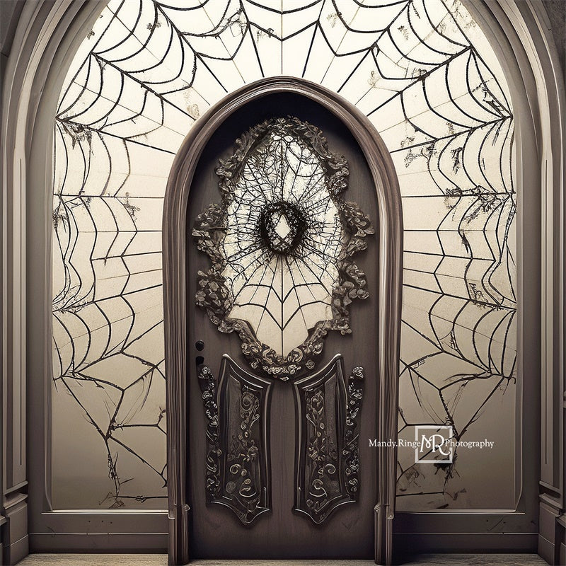 Kate Sinistre Toiles d'araignées Porte Toile de fond conçue par Mandy Ringe - Kate Backdrop FR