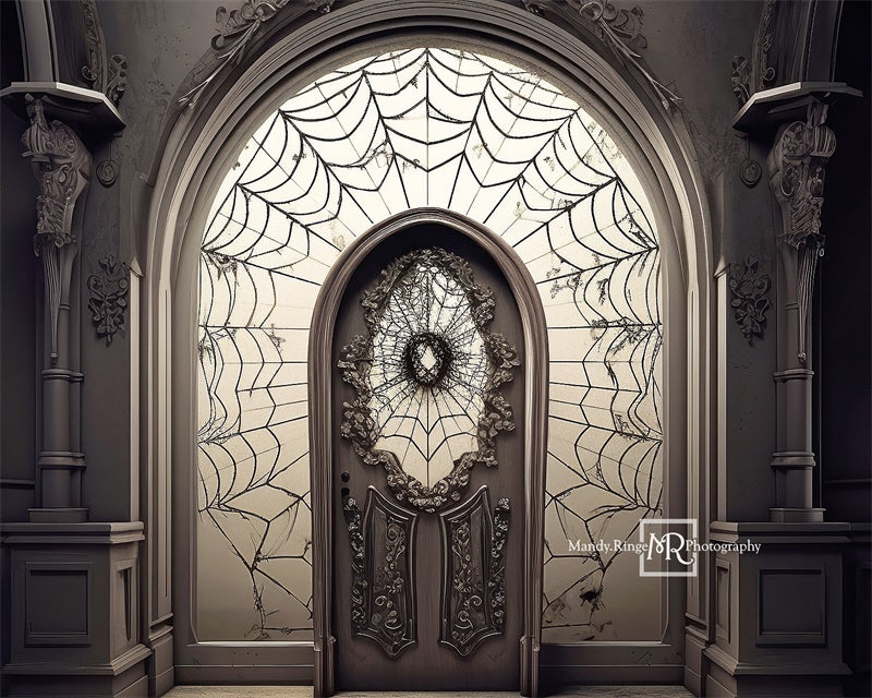 Kate Sinistre Toiles d'araignées Porte Toile de fond conçue par Mandy Ringe - Kate Backdrop FR