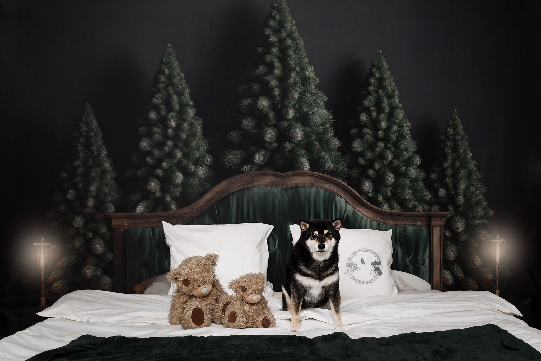 Kate Hiver Pin Tête de lit Toile de fond conçue par Mandy Ringe - Kate Backdrop FR