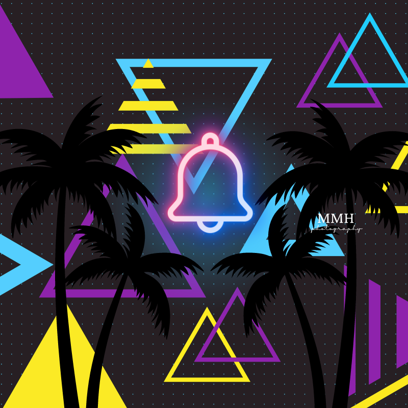 Kate Motif géométrique Palmiers Cloche Toile de fond conçu par Melissa McCraw-Hummer - Kate Backdrop FR