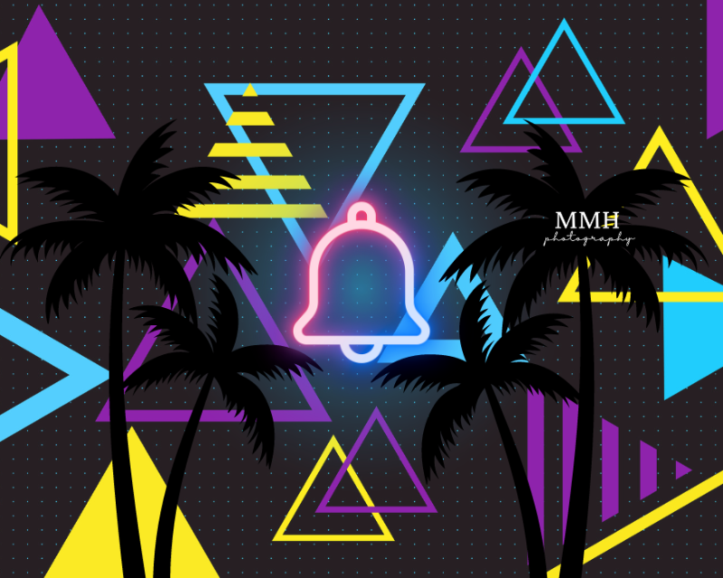 Kate Motif géométrique Palmiers Cloche Toile de fond conçu par Melissa McCraw-Hummer - Kate Backdrop FR