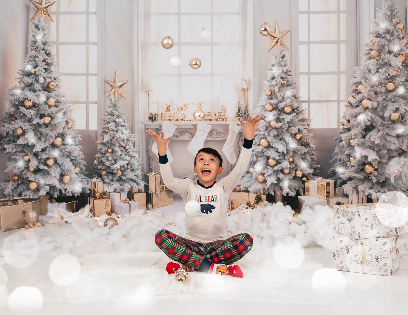 Kate Noël Fenêtre Arbres Cadeaux Doré Toile de fond pour la photographie - Kate Backdrop FR