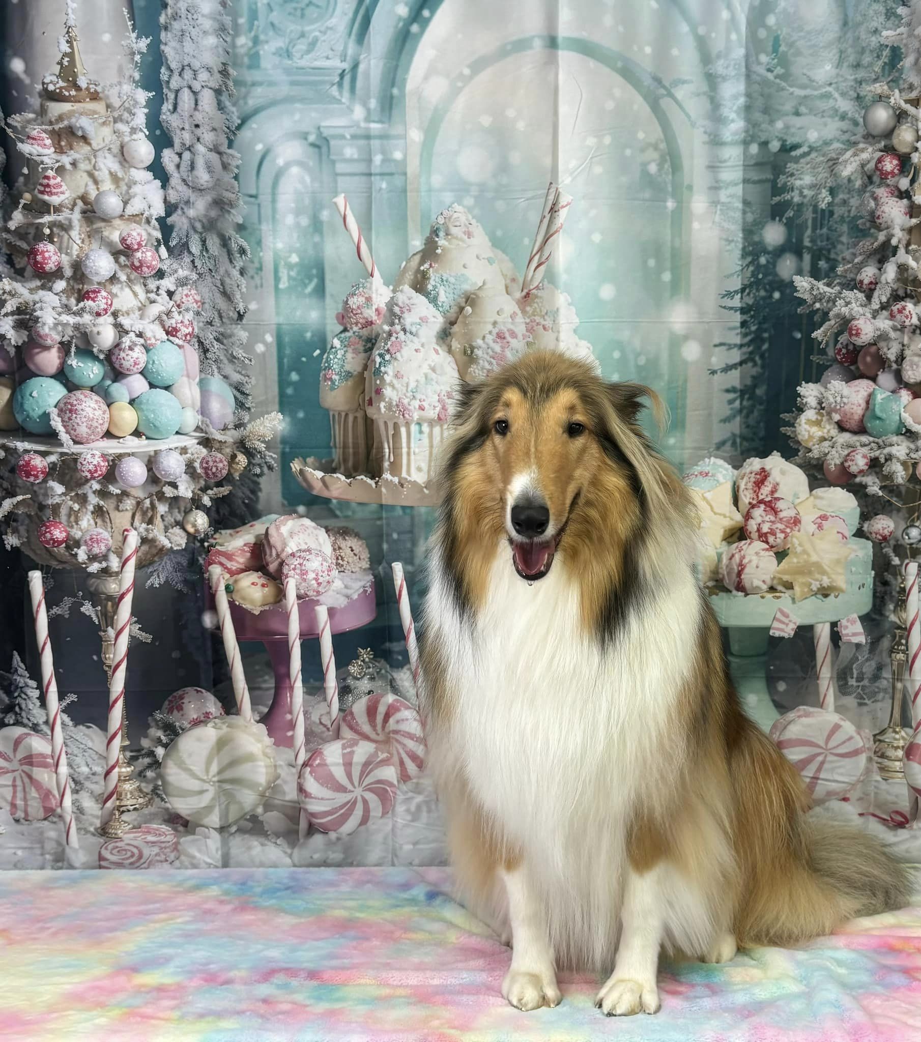 Kate Hiver Bonbons Gâteau Neige Toile de fond conçu par Emetselch - Kate Backdrop FR