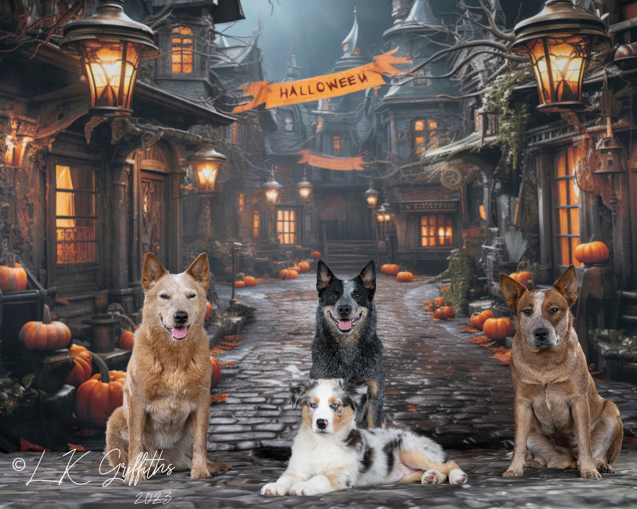 Kate Halloween Citrouille Rue Toile de fond+Brun Pierre Sol Toile de fond - Kate Backdrop FR